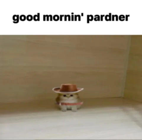 Good Mornin' Pardner Cat