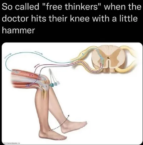 Free Thinker Knee Reflex