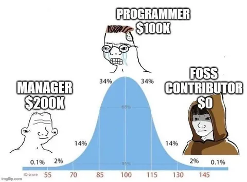 Programmer Manager FOSS IQ Bell Curve