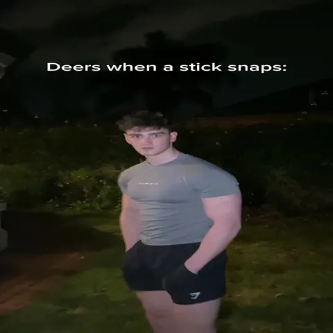 Deers When a Car Comes Fast
