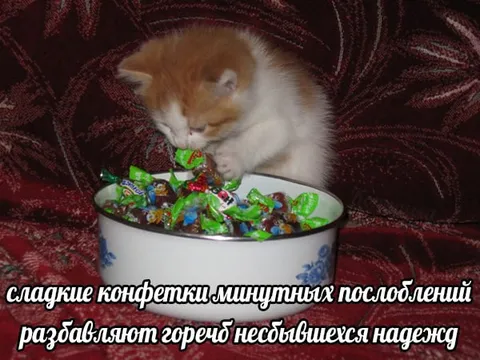 Сладкие конфетки минутных наслаждений