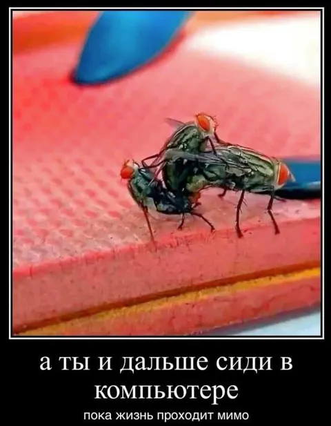 Пока жизнь проходит мимо
