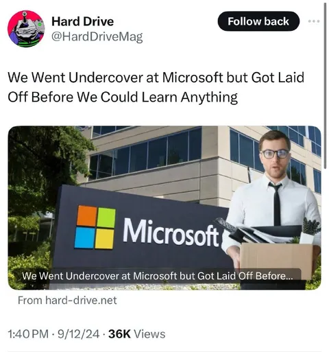 Laid Off at Microsoft