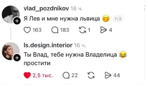 Лев ищет львицу, а Влад — владелицу