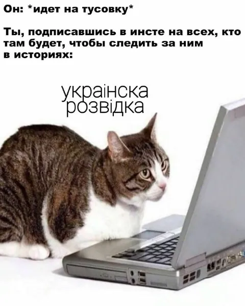 Украинская разведка в историях