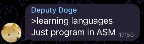 Learning Languages, Programming in ASM