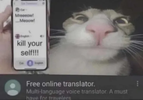 Cat Translator Gets It Wrong