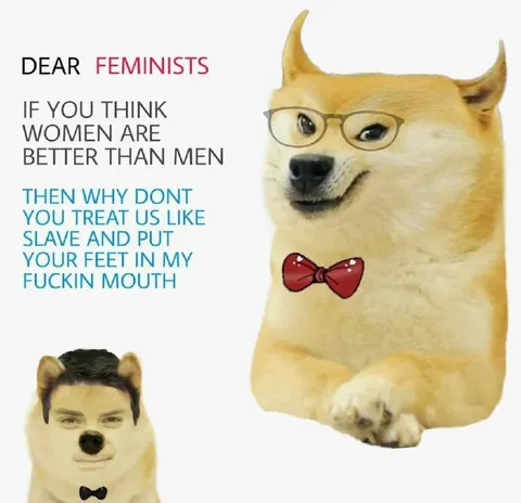 Dear Feminists Doge Meme