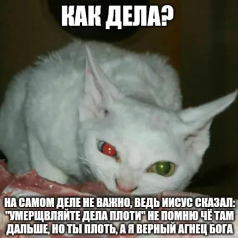 Агнец Бога и плоть