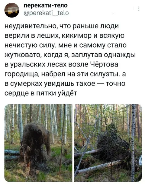Силуэты в уральском лесу