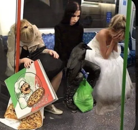 Три девушки в метро и пицца
