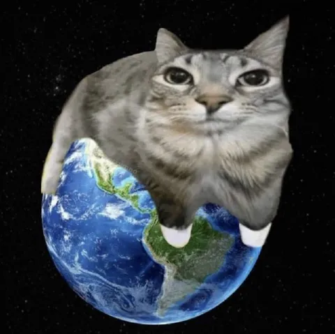 Кот держит Землю