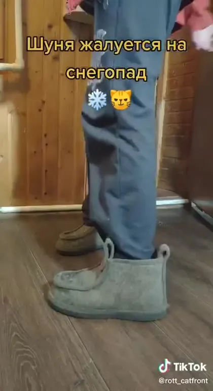 Шуня жалуется на снегопад