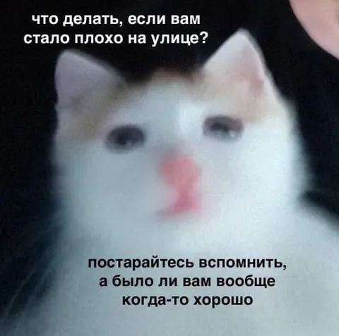 Если стало плохо на улице