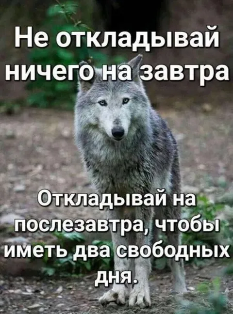 Откладывай на послезавтра