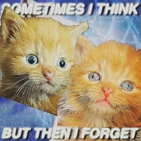 Sometimes I Think But Then I Forget