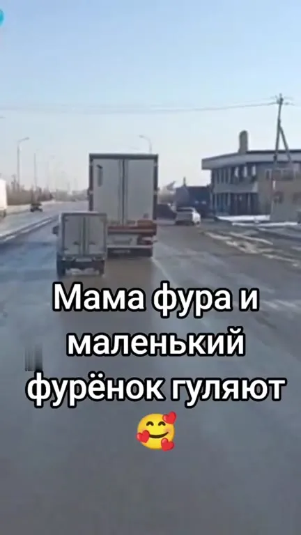 Мама фура и маленький фурёнок