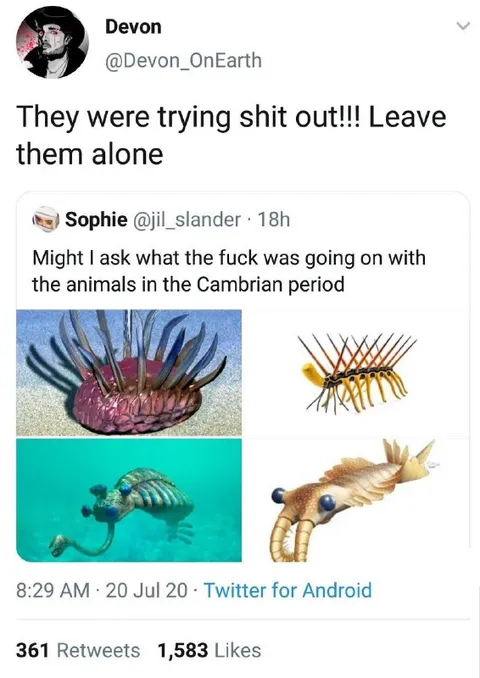 Cambrian Animals Were Trying Shit