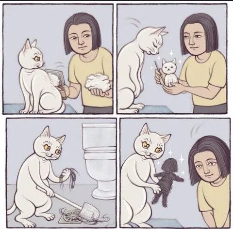 Кошка отвечает взаимностью