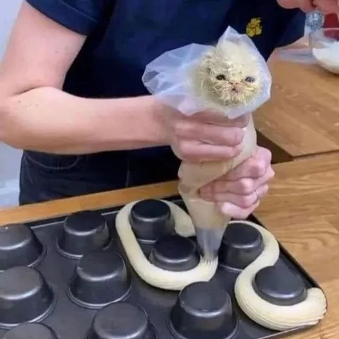 Кот печёт булочки