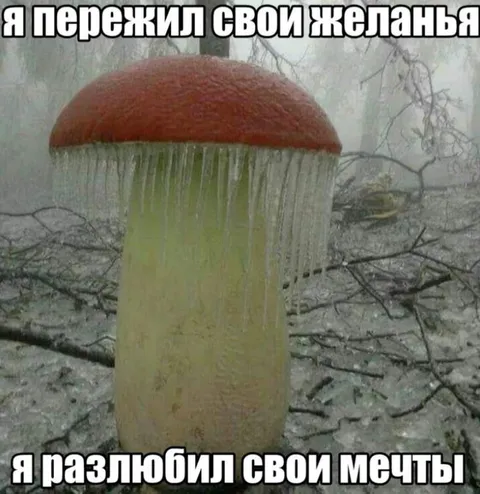Пережил свои желания