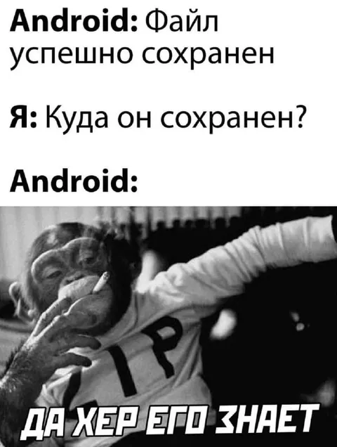 Куда Android сохраняет файлы