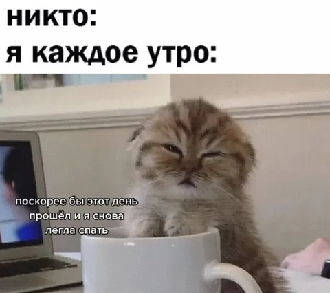 Каждое утро хочу спать