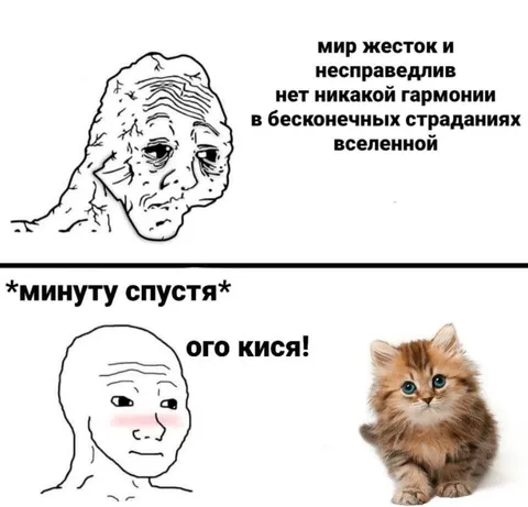 Мир жесток, но есть кися