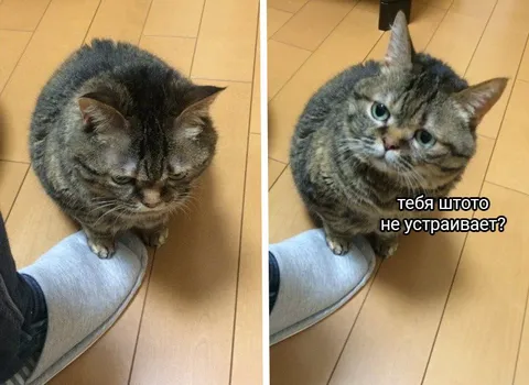 Тебя что-то не устраивает?