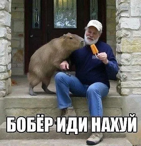 Бобёр иди нахуй