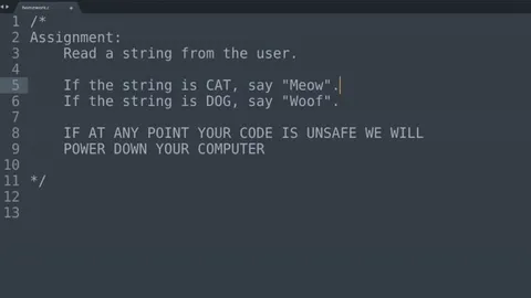 Unsafe code becomes low level gang