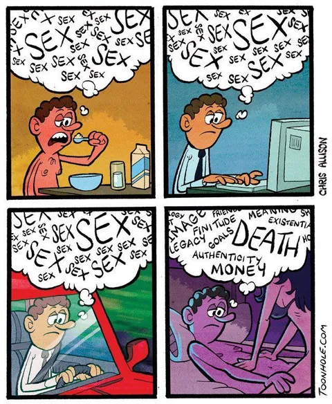 Sex on the Brain