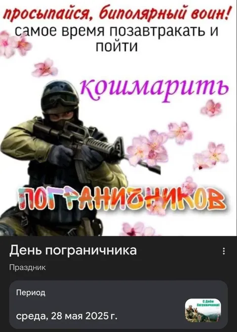 Биполярный воин кошмарит пограничников