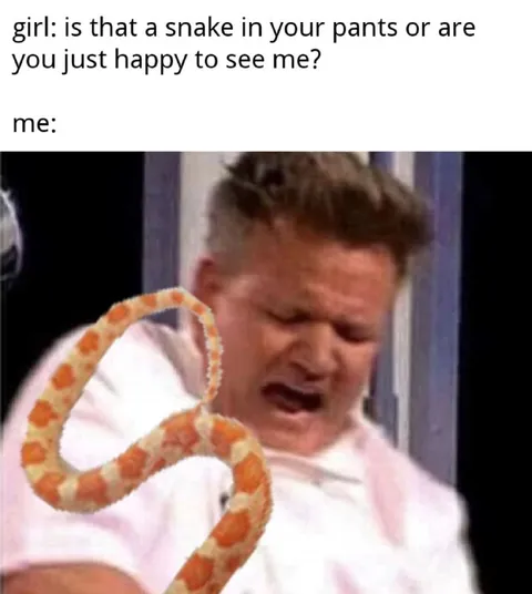 Snake in Your Pants