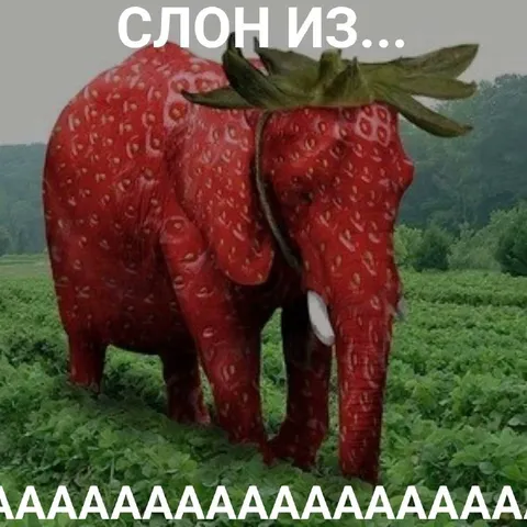Слон из клубники