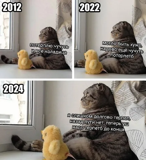Кот терпит до конца