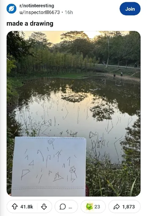 Made a Drawing on the Pond