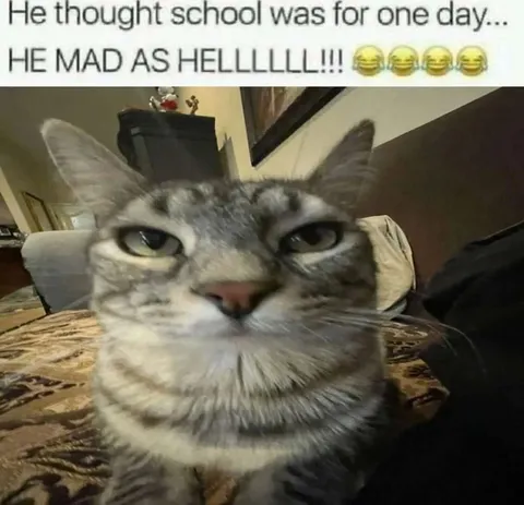 School Was Only One Day