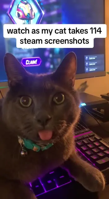 Cat Takes 114 Steam Screenshots