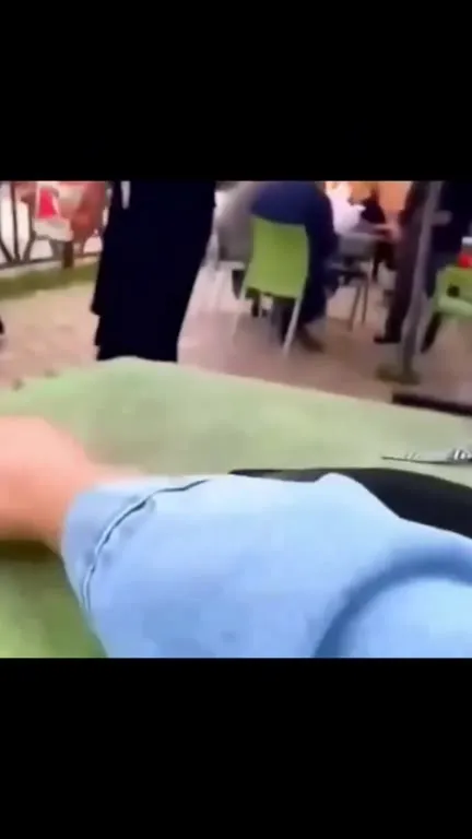Pigeon Michael Bay Movie