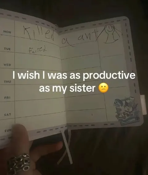 I Wish I Were Productive