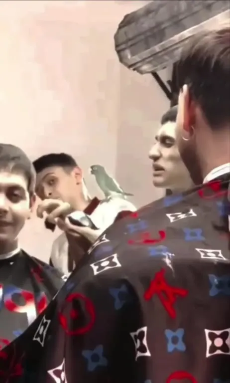 Попугай мешает стрижке