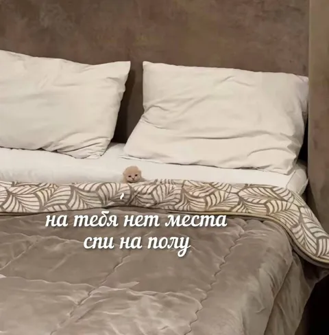 На тебя нет места, спи на полу