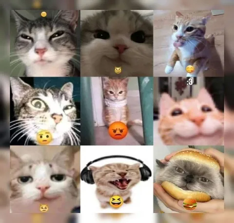 Кошачий набор эмоций