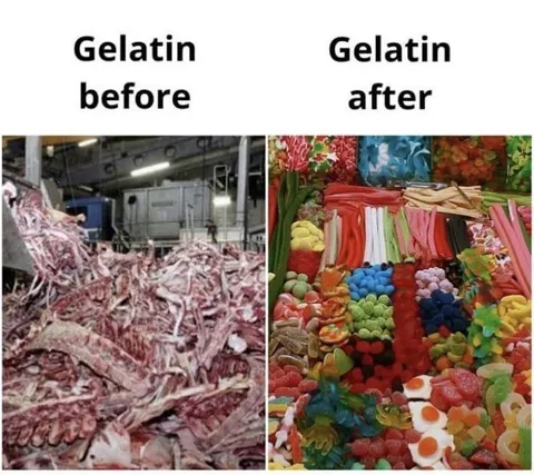 Gelatin Before and After
