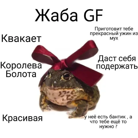 Жаба GF с бантиком