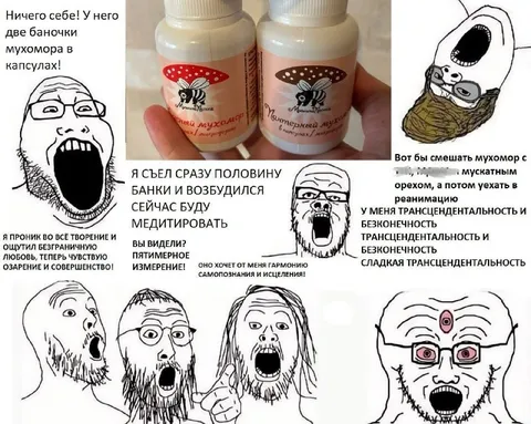 Мухомор и трансцендентальность