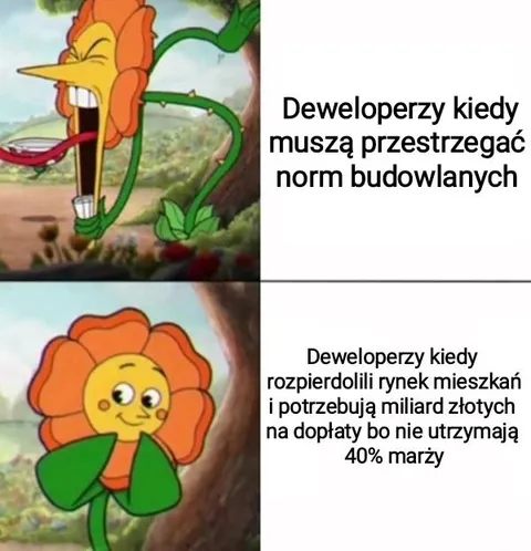 Deweloperzy i normy budowlane