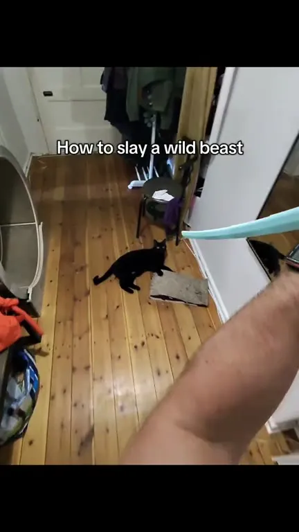 How to Slay a Wild Beast