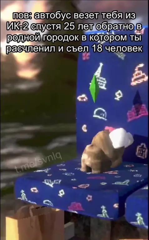 Автобус в родной город через 25 лет